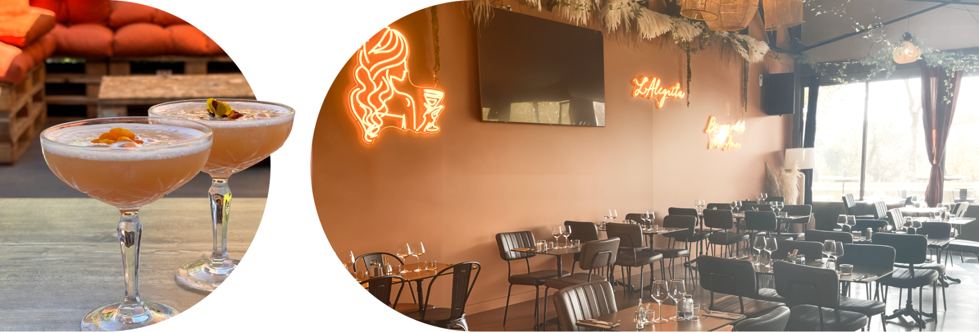 L'Alegrita - restaurant FABREGUES - restaurant a faire FABREGUES