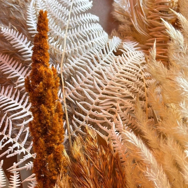 Le restaurant - L'Alegrita - restaurant FABREGUES - Restaurant St Jean de Vedas - meilleur restaurant FABREGUES